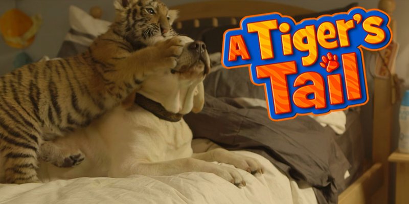 A Tiger's Tail Still #2